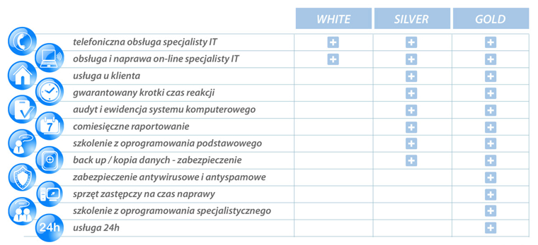 usługi informatyczne dla firm